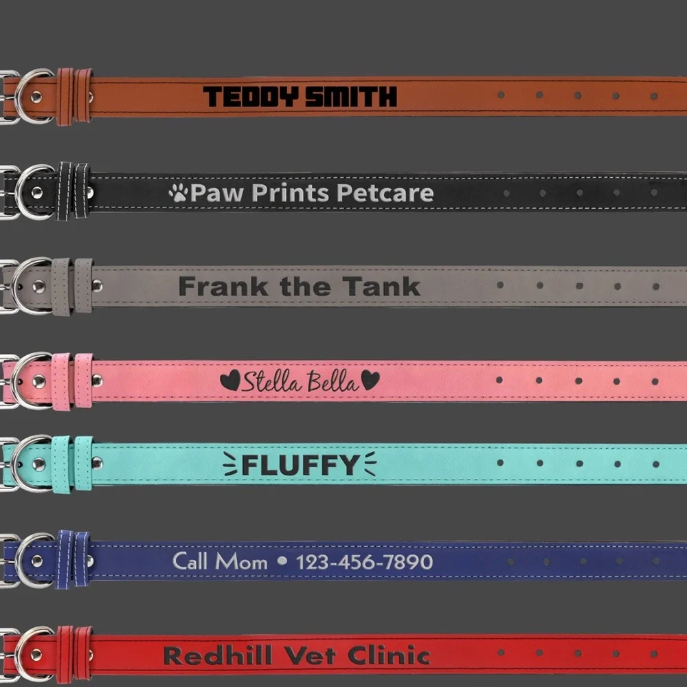 Pet Collar